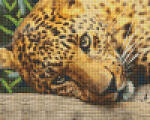Pixelhobby Pixel szett 4 normál alaplappal, színekkel, leopárd (804443)