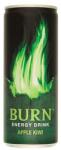 Burn Apple Kiwi 250 ml