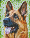 Pixelhobby Pixel szett 9 normál alaplappal, színekkel, kutya, németjuhász (809426)