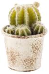 Bizzotto Cactus artificial in ghiveci alb patinat 10 x 10 x 11h (BI0171023C)