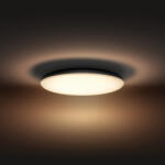 Philips Hue White Ambiance Cher LED Lumina de tavan negru 3000lm (4096730P6)