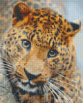 Pixelhobby Pixel szett 9 normál alaplappal, színekkel, leopárd (809423)