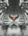 Pixelhobby Pixel szett 4 normál alaplappal, színekkel, tigris (804130)