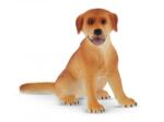 BULLYLAND Labrador kutya játékfigura