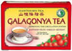 Dr. Chen Patika filteres galagonya tea 20db