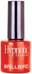 BrillBird Hypnotic gel&lac 63 - 8ml