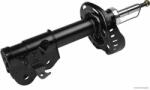 Herth+buss Jakoparts amortizor HERTH+BUSS JAKOPARTS J4314003 (J4314003) - automobilus