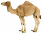 Mojo Animal Planet Arab teve (MJ387113)