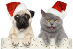 Sticker decorativ Pug si Pisica Craciun