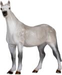 Mojo Figurina Mojo Horses - Calul Orlovski risak (387378) Figurina