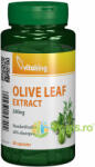 Vitaking Frunze de Maslin (Olive Leaf) 500mg 60cps