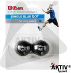 Wilson Squash labda Wilson Staff kék 2 db (WRT617500+)