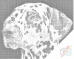  PontPöttyöző - Dalmata Méret: 40x50cm, Keretezés: Keret nélkül (csak a vászon), Szín: Kék