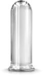 NS Novelties Dop Anal din Sticla Renegade Rook Transparent 16.5 cm