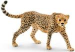 Schleich Femela ghepard (OLP102614746) Figurina