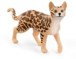 Schleich Bengal cat (OLP102613918) Figurina