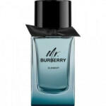 Burberry Mr. Burberry Element EDT 100 ml Tester Parfum