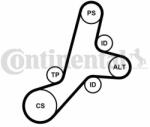 Continental Ctam Set curea transmisie cu caneluri CONTINENTAL CTAM 6PK1345K1 - automobilus