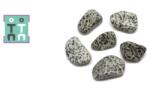  Jasp Dalmatian Rulat Natural - 20-35 x 16-20 mm - ( L ) - 1 Buc
