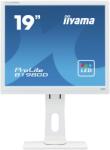 iiyama ProLite E1980D Monitor