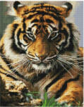 Makana Tigris - Gyémántszemes kirakó készlet, kerettel 40x50 cm