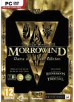 Bethesda The Elder Scrolls III Morrowind [Game of the Year Edition] (PC) Jocuri PC