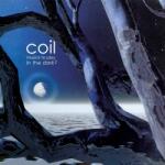 Coil Musick To Play In The Dark 2 - facethemusic - 18 290 Ft