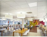 Knauf Ceiling Solutions Tavan fals casetat KCS Sahara SL2 1500x300 mm (KCS-713485)
