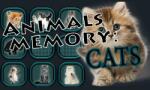 Laush Studio Animals Memory Cats (PC)