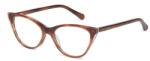 Ted Baker 9194-296 Rama ochelari
