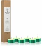 Smells Like Spells Norse Magic Eir 6 db