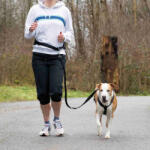 TRIXIE Dog Activity öv pórázzal közepes és nagytestű kutyáknak (Öv: 75-120 cm / 9 cm | Póráz: 120-150 cm / 25 mm)