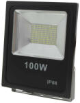 OPTONICA SMD LED 100W FL5429