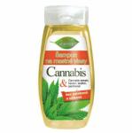 Bione Cosmetics Cannabis sampon zsíros hajra 260 ml