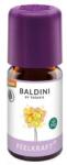 BALDINI Érezd az erőt 5 ml