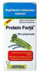 Hofigal - Protein Forta Hofigal 60 comprimate
