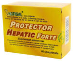 Hofigal - Protector Hepatic Forte Hofigal 40 comprimate 1000 mg - hiris