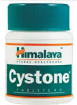 Himalaya - Cystone Himalaya Herbal 60 tablete 446 mg - hiris