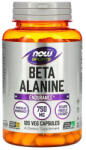 NOW Beta-Alanine, Endurance, 750 mg, Now Foods, 120 capsule