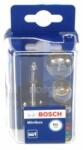 Bosch Sortimente, becuri BOSCH 1 987 301 102 (1 987 301 102) - automobilus