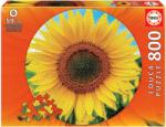 Educa - Puzzle Floarea soarelui (rotunda) 800 buc - 850 piese Puzzle