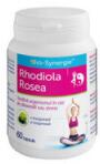 Bio-Synergie Rhodiola rosea 60cps BIO-SYNERGIE