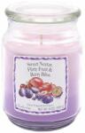 Candle Lite Nectar & Fruit & Berry 538 g (76001335946)