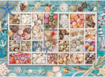 EUROGRAPHICS Seashell Collection 1000 db-os (6000-5529)