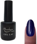 Moonbasanails Gel lac 6ml #295 Strălucire albastru regal (001295)