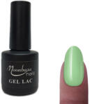 Moonbasanails Gel lac 6ml #211 Verde pastelat (001211)