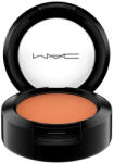 MAC - Fard de pleoape Mac Matte Small Eye Shadow Fard de pleoape 1, 5 g Rule