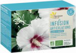 Fleurance Nature Articulation" Organic gyógytea - 20 darab