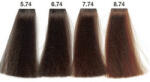 Carin Haircosmetics color Intensivo hajfesték 100 ml 07.74