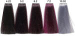 Carin Haircosmetics color Intensivo hajfesték 100 ml 05.2